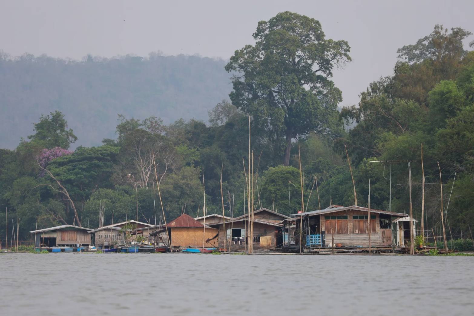 River Bank